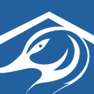 Blue Duck Roofing - Logo