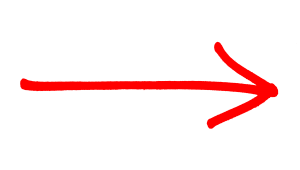 Any House Solutions Columbus GA - Logo