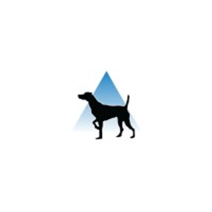 On-Point Construction Management - Logo