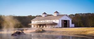 Magnolia Creek Farms - Logo