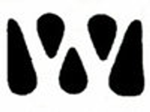 Weston Gardens Weddings - Logo