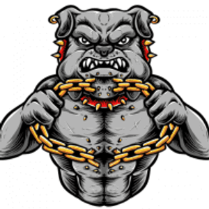 bulldog investigations