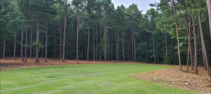 Alpha Mulching - Logo