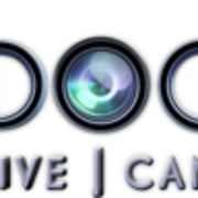 Vividography - Logo