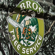 BROS TREE SERVICE LLC - Logo