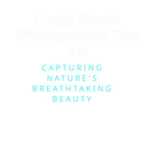 LindaStormFineArtPhotography - Logo
