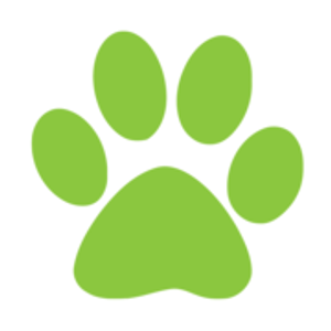 Dog Gone Fun, LLC. - Logo