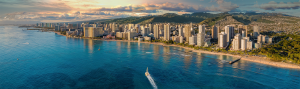 Doug Ward - Hawaii Realtor - Logo
