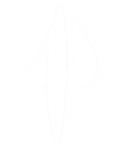 Altered Perspectives Media - Logo