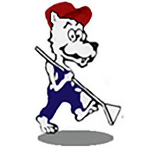 Wolfe's Carpet & Upholstery Cleaning - Logo