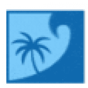 Palm Wave Realty