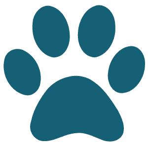 Winsted Hospital for Animals