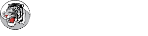 Master Jin's White Tiger Taekwondo - Logo