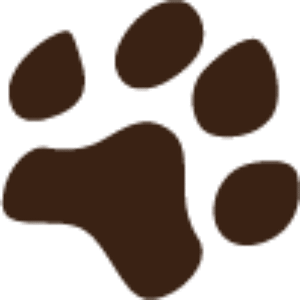 The Canine Connection