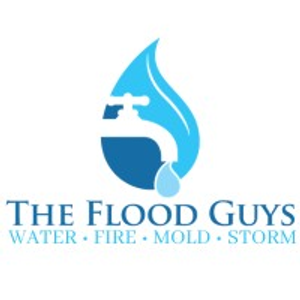 The Flood Guys Lake Stevens - Water, Fire, Mold, Storm - Logo
