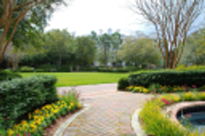 Collins Professional Landscaping - Logo