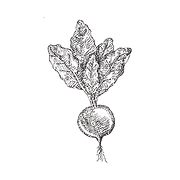 Growing Roots Together - Logo