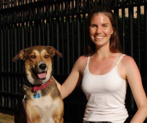 JM Dog Training - Logo