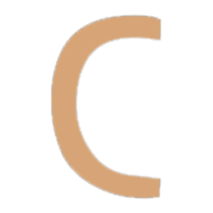 Camson Properties - Logo