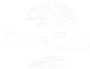 All American Arborist - Logo