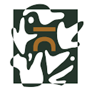 Bridge Counseling and Wellness - Logo