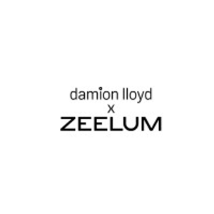 Commercial, E-Commerce, Editorial, Lifestyle Photography Studio - Damion Lloyd Photography - Logo