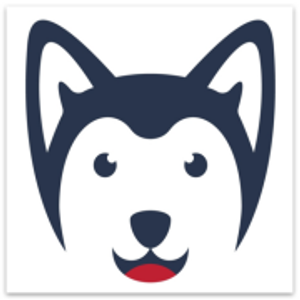Stay n Play Dogs Boarding - Logo