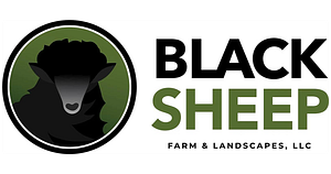 Black Sheep Lawn and Landscape - Logo