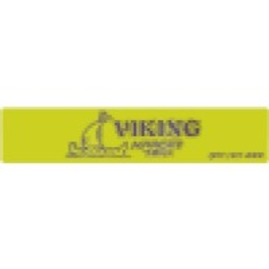 Viking Airport Transportation Taxi & Limo service - Logo