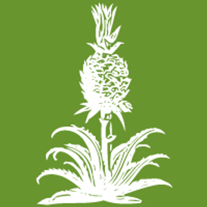 Urban Florist - Logo
