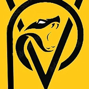 Viper Services-Plumbing-Leak Detection-Pool Repairs - Logo