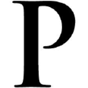 Pro Precision Painting - Logo