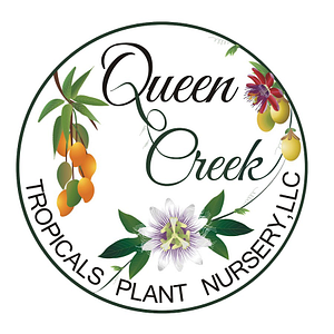 Queen Creek Tropicals Plant Nursery - Logo