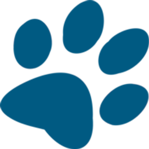 No Problem! Dog Training - Logo