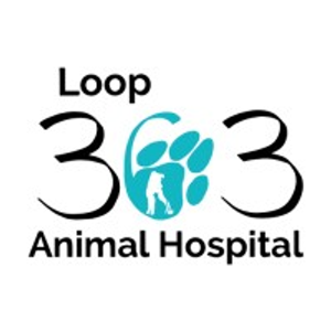 Loop 363 Animal Hospital - Logo