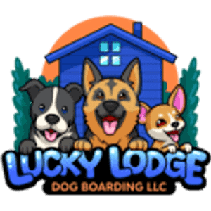 Lucky Lodge Dog Boarding - Pet boarding service in Blue Springs