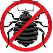 LP Pest Solutions - Logo