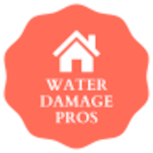 Hilo Restoration Specialists - Logo
