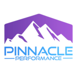 Pinnacle Performance Gym - Logo