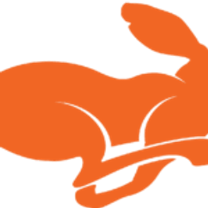 Rapid Drain - Logo
