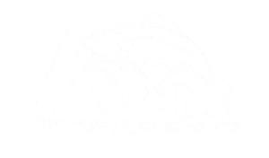 Alpine Fishing Adventures - Logo