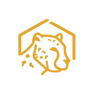 Remove & Replace, LLC - Logo