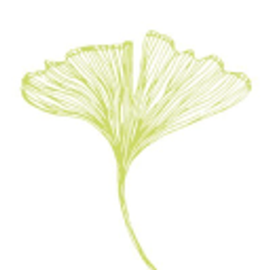 Celadon Floral - Logo