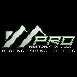 Pro Restoration LLC - Logo