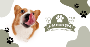 J~M Dog Spa LLC - Logo