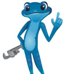 bluefrog Plumbing and Drain of Denver - Logo