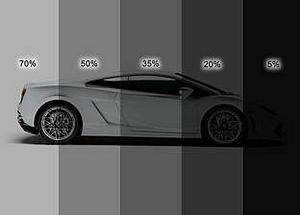 Pinellas Window Tinting - Logo