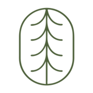 White Spruce - Logo