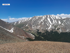 Wilderness Medicine AI