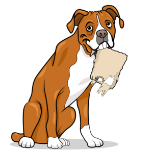 Rancho Santa Margarita Carpet Repair & Cleaning - Logo